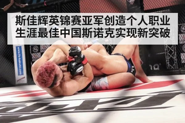 斯佳辉英锦赛亚军创造个人职业生涯最佳中国斯诺克实现新突破